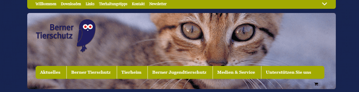 googleaddpet2