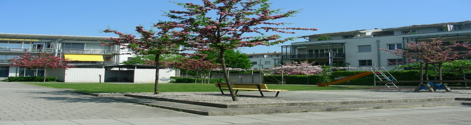 Gifts & Flowers Banner0