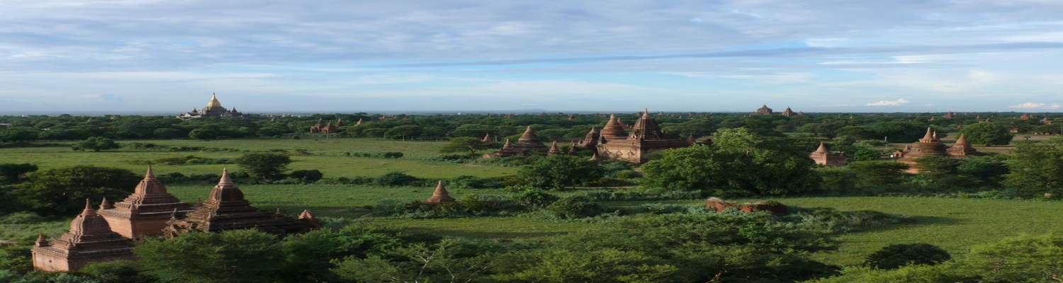 On Demand Services Banner1