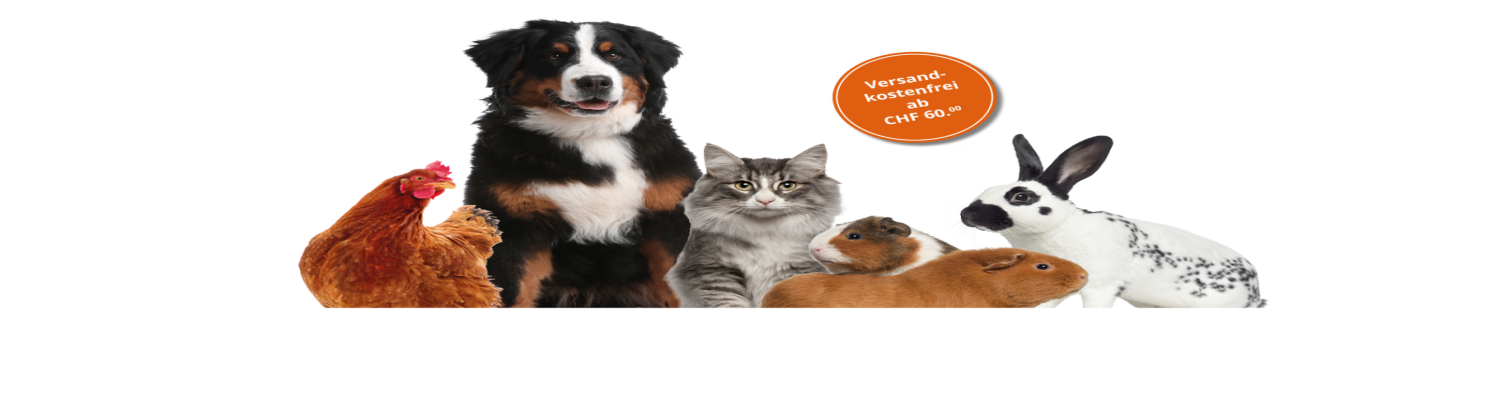 Pets Banner0