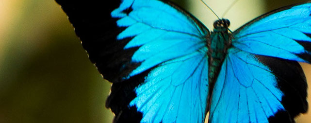 Education Banner1