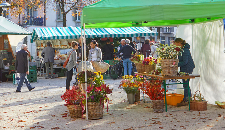 Galerie