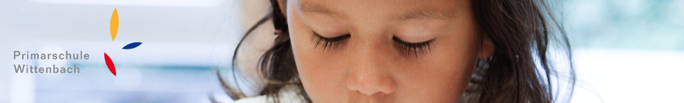 Primary School Wittenbach