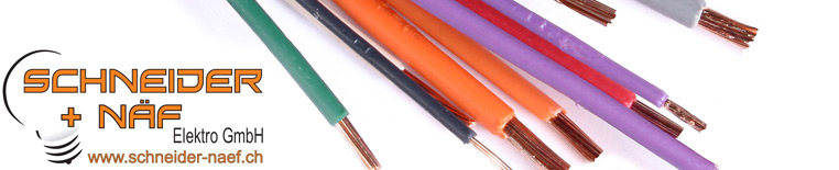 Schneider + Näf Elektro Gmbh