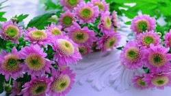 Smile gift & flower