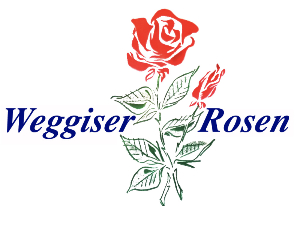 Weggiser Rosen