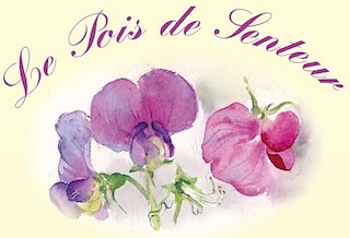 Le Pois de Senteur