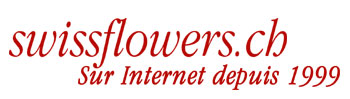 swissflowers.ch