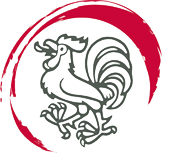 Koppigen