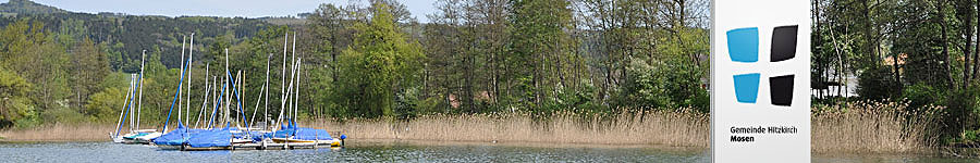 Hitzkirch