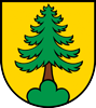 Riniken