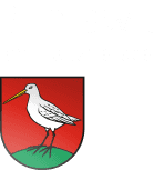 Boniswil