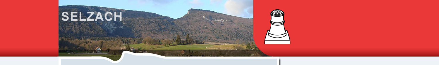Selzach