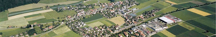Toffe Zytig