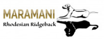 Maramani