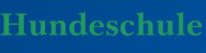 Hundetrainer Tschudy