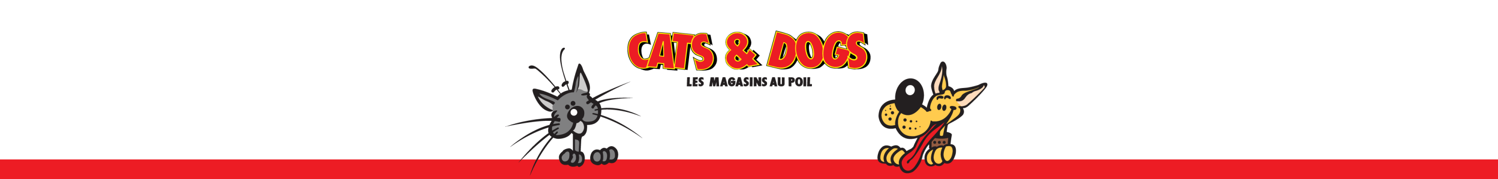 Cats And Dogs Sa Meyrin