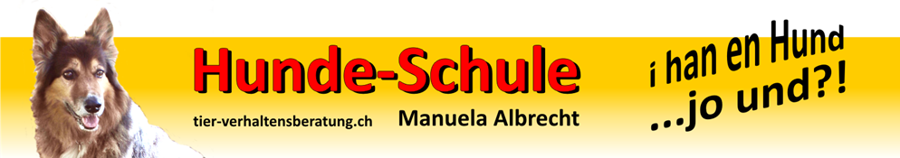 Hunde-Schule