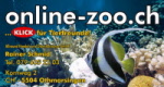 Online-Zoo