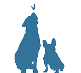 Rudelhunde Hundebetreuung