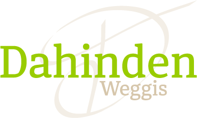 Dahinden Weggis